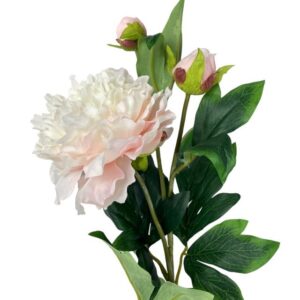 peonia-rosa-doble-boton-85cm