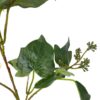 Rama French Ivy 75cm