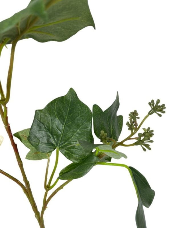 Rama French Ivy 75cm