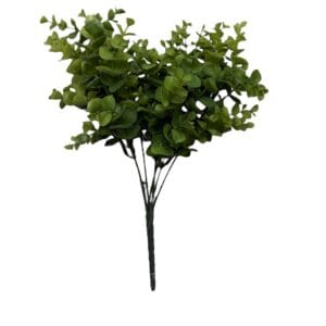 ramo boxwood