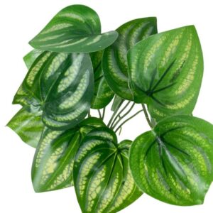 ramo variegado verde (1)