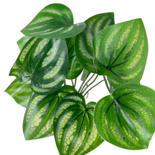 ramo variegado verde (1)