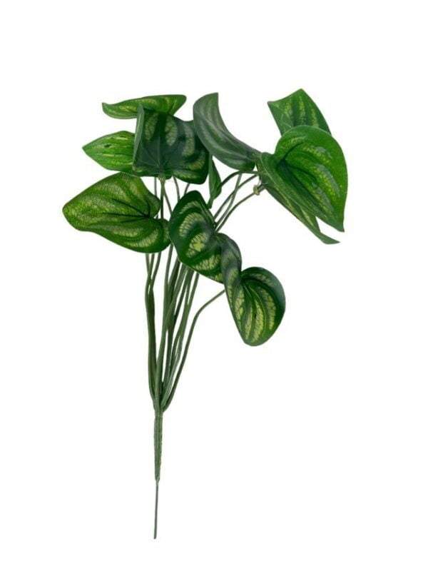 ramo variegado verde (1)