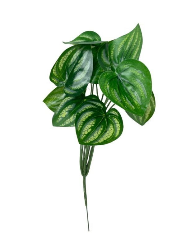 ramo variegado verde (1)