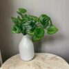 ramo variegado verde (1)