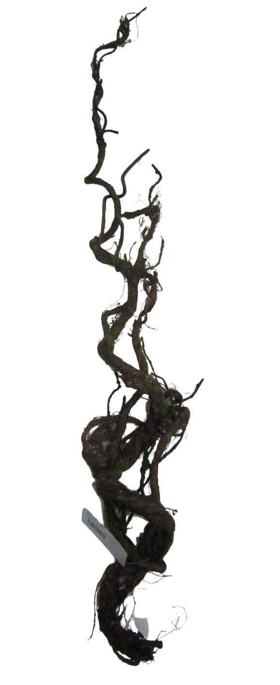 Tronco Enredadera - Moss vine 100cm