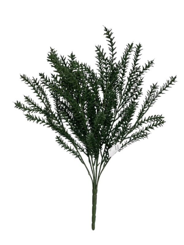Arbusto De Pino Verde Oscuro