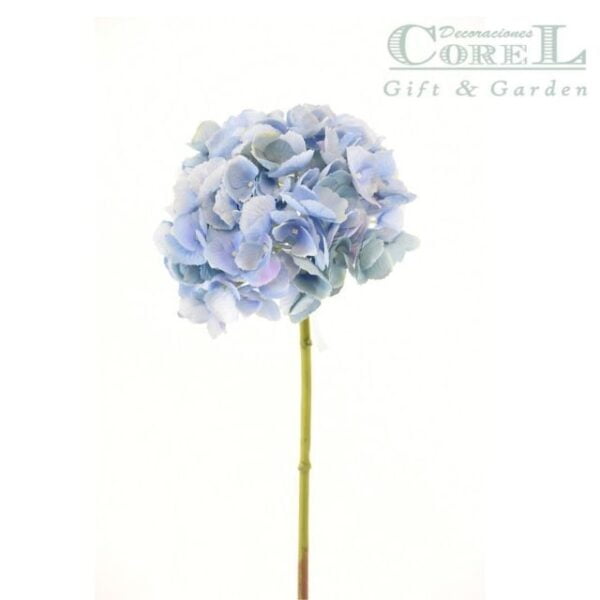 Hortensia Celeste 50cm