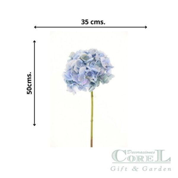 Hortensia Celeste 50cm