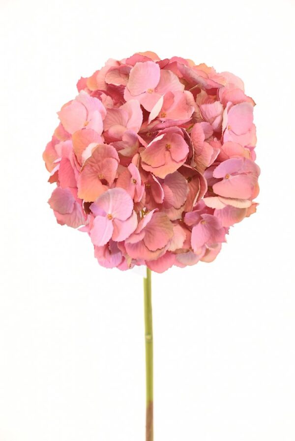 Hortensia Rosada 50cm