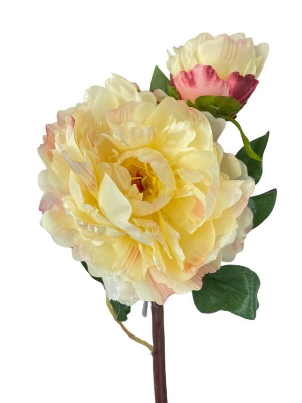 Peonía Rosa Clara Con Botón 54cm