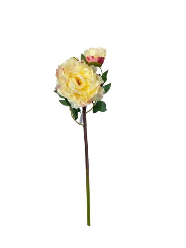 Peonía Rosa Clara Con Botón 54cm