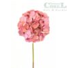 Hortensia Rosada 50cm