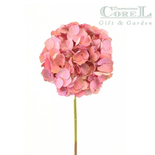 Hortensia Rosada 50cm