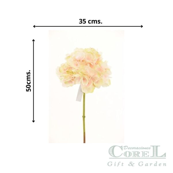 Hortensia Rosa Clara 50cm