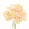 Hortensia Rosa Clara 50cm