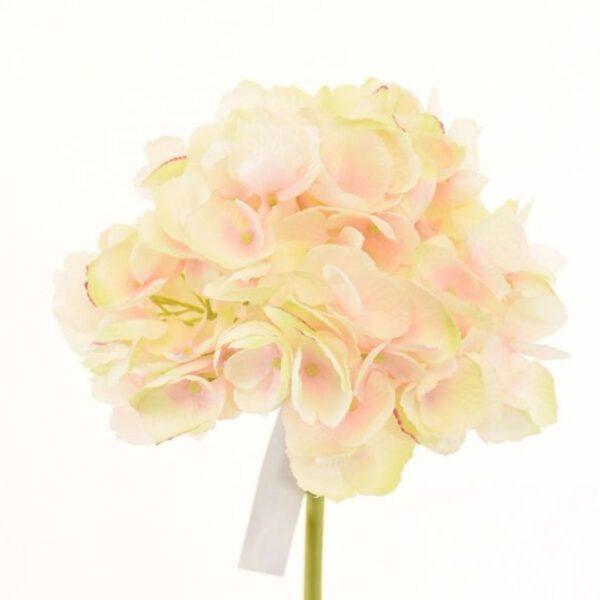 Hortensia Rosa Clara 50cm