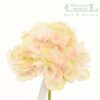 Hortensia Rosa Clara 50cm