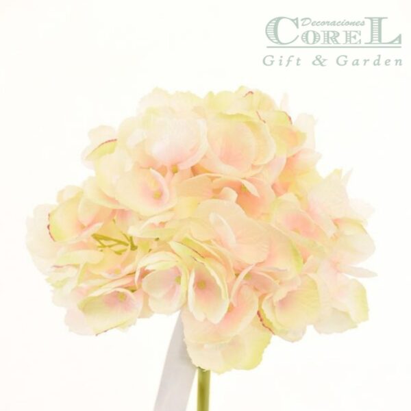Hortensia Rosa Clara 50cm