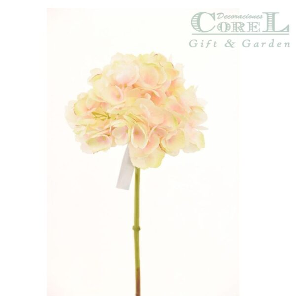 Hortensia Rosa Clara 50cm