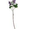 Lila Morada Clara 85cm