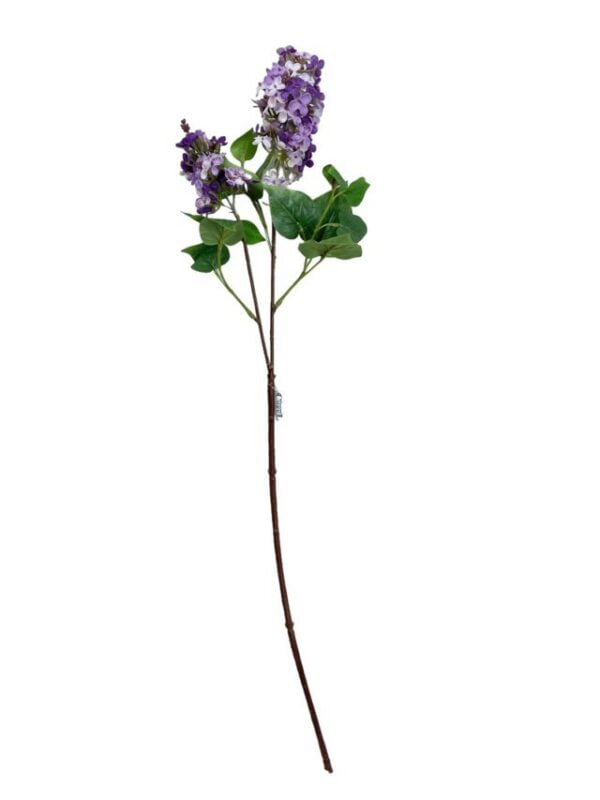Lila Morada Clara 85cm