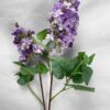 Lila Morada Clara 85cm
