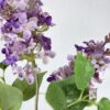 Lila Morada Clara 85cm