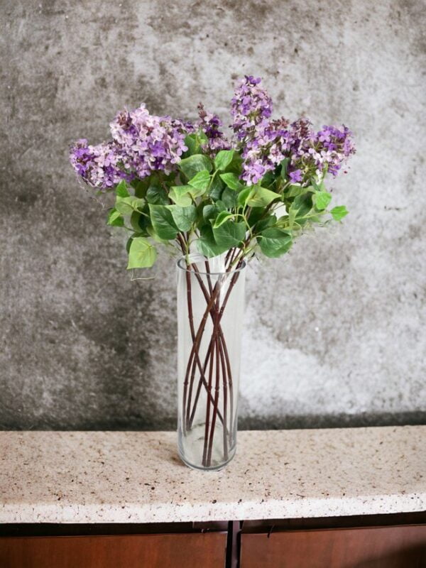 Lila Morada Clara 85cm
