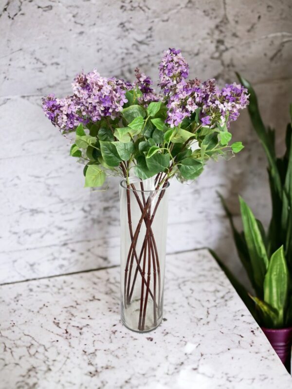 Lila Morada Clara 85cm
