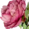 Peonía Rosa Oscuro Con Botón 54cm