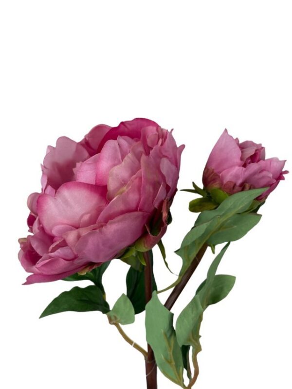 Peonía Rosa Oscuro Con Botón 54cm