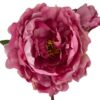 Peonía Rosa Oscuro Con Botón 54cm