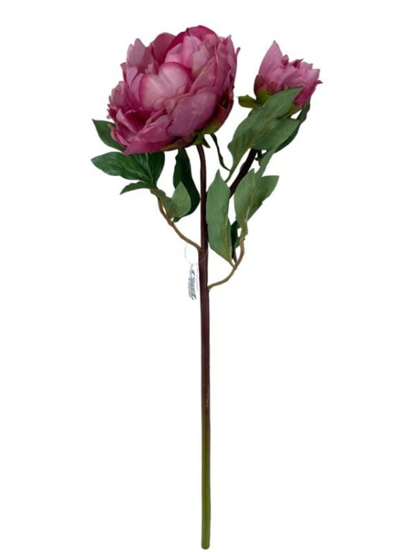 Peonía Rosa Oscuro Con Botón 54cm