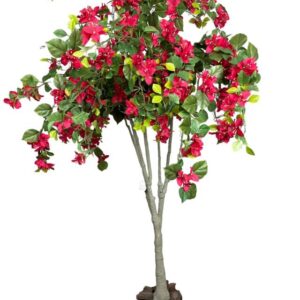 Árbol Buganvilla 150cm