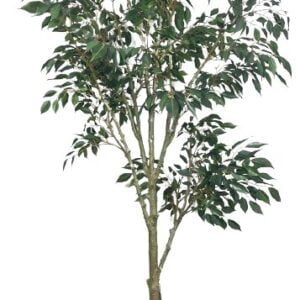 Árbol Ficus Hoja Chica 168cm