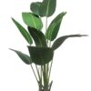Palmera Strelitzia O Ave del Paraíso 160cm
