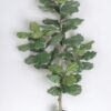 Árbol Fidel o Ficus Lyrata 150cm