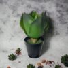 Agave De Hojas Verde 28cm