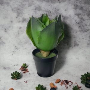 Agave De Hojas Verde 28cm