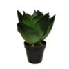 Agave De Hojas Verde 28cm