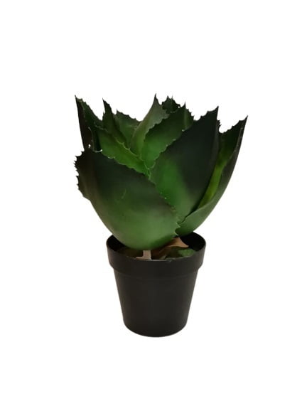 Agave De Hojas Verde 28cm
