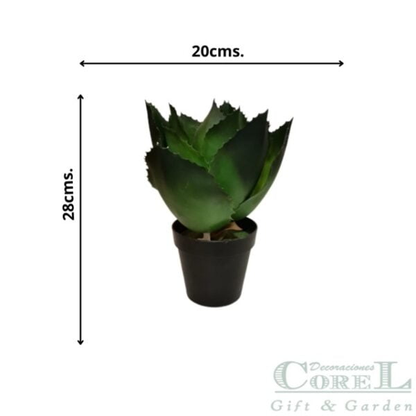 Agave De Hojas Verde 28cm
