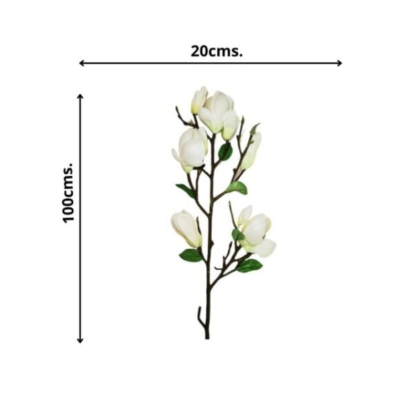 Rama Magnolia Blanca 84cm