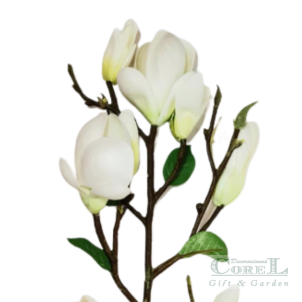 Rama Magnolia Blanca 84cm