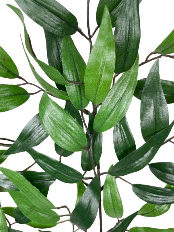 Rama de Hojas Ruscus 50cm