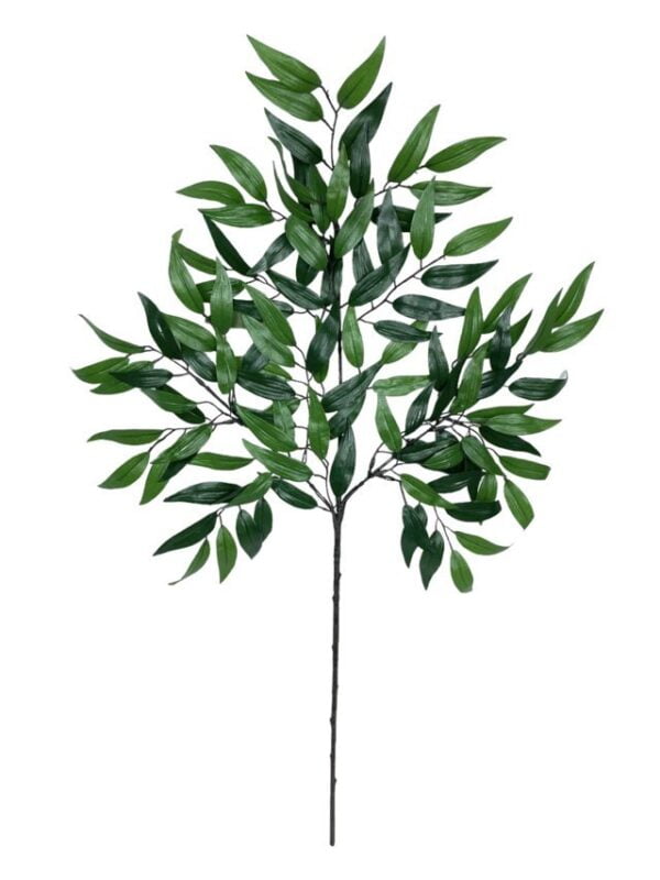 Rama de Hojas Ruscus 50cm