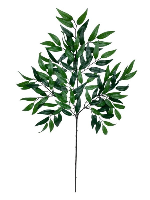 Rama de Hojas Ruscus 50cm