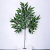Rama de Hojas Ruscus 50cm