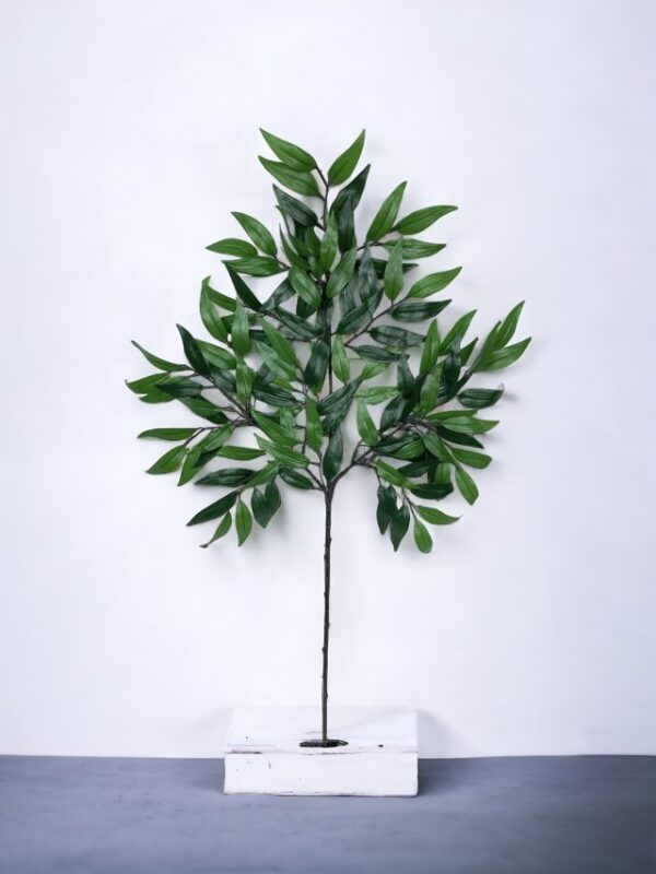 Rama de Hojas Ruscus 50cm